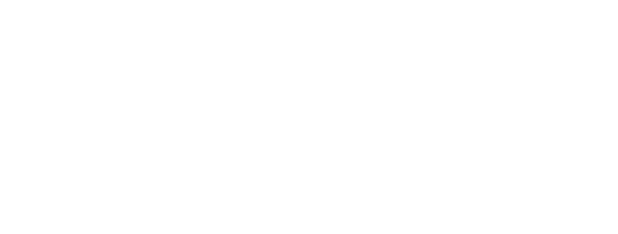 Skyline Customs LLC
